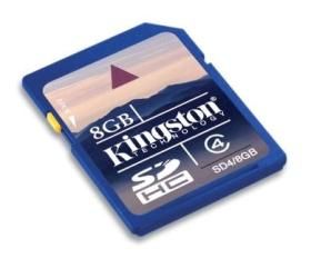 8GB SecureDigital (SDHC) Memory Card, Class 4