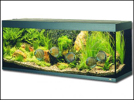 Akvárium set JUWEL Rio 300 černé - 350l