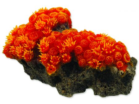 Dekorace AQUA EXCELLENT mořský korál oranžový
