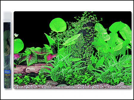 Pozadí AQUA EXCELLENT tapeta ráj rostlin č.1 - 100 x 50 cm