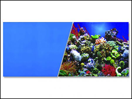 Pozadí MARINA tapeta oboustranné korály / modré 760 x 45 cm - 7,6m