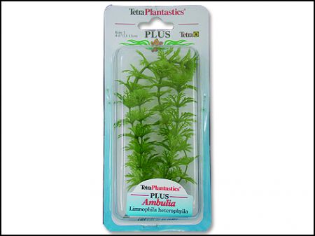 Rostlina TETRA Ambulia Plus 15 cm