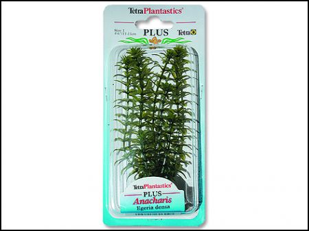 Rostlina TETRA Anacharis Plus 15 cm