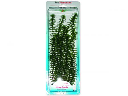Rostlina TETRA Anacharis Plus 30 cm