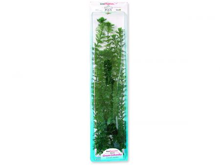 Rostlina TETRA Green Cabomba Plus 46 cm