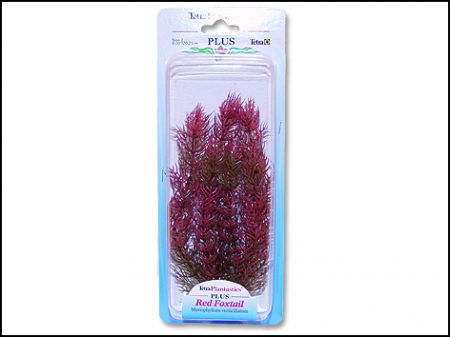Rostlina TETRA Red Foxtail Plus 23 cm