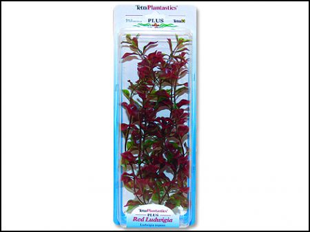 Rostlina TETRA Red Ludwigia Plus 15 cm