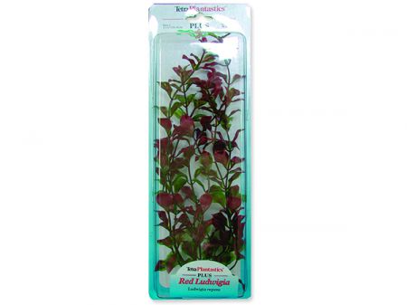 Rostlina TETRA Red Ludwigia Plus 30 cm