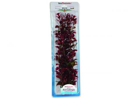 Rostlina TETRA Red Ludwigia Plus 38 cm