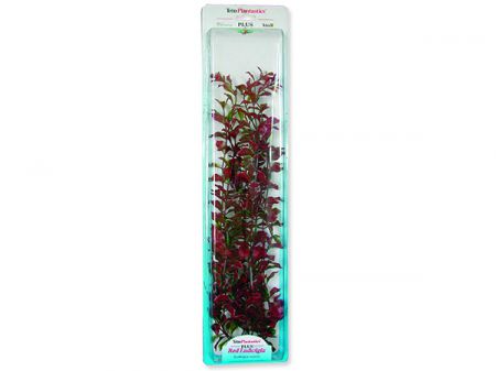 Rostlina TETRA Red Ludwigia Plus 46 cm