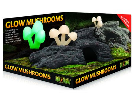 Úkryt EXO TERRA Glow mushrooms