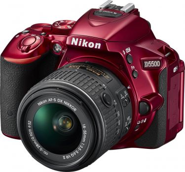 D5300 + AF-P 18-55 VR RED