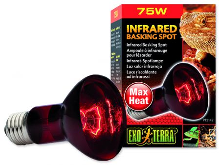 Žárovka EXO TERRA Infrared Basking Spot - 75W