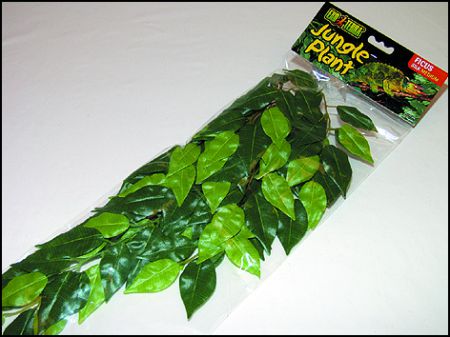 Rostlina EXO TERRA Ficus střední 55 cm