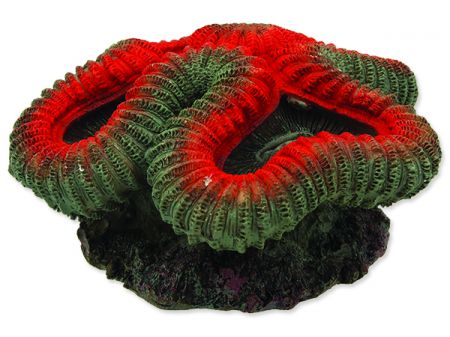 Dekorace AQUA EXCELLENT Mořský korál červenobílý 12 x 11,5 x 6 cm