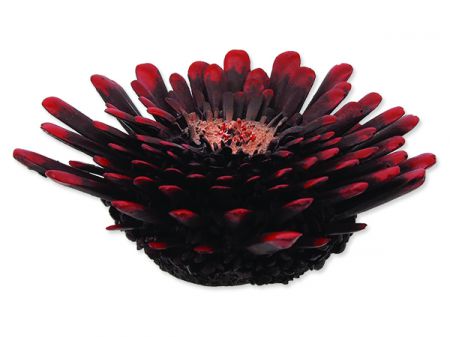 Dekorace AQUA EXCELLENT Mořský korál červenočerný 9,5 x 9,5 x 3,4 cm