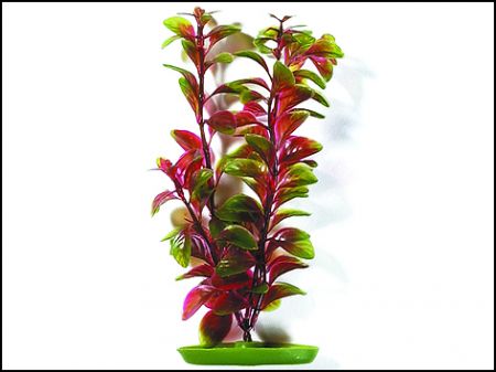 Rostlina LIVING WORLD Red Ludwigia 30 cm