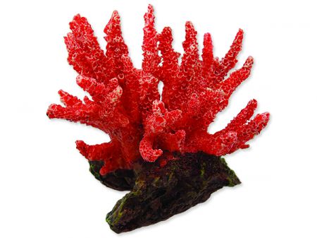 Dekorace AQUA EXCELLENT Mořský korál měkký růžový 8 x 7,5 x 7,5 cm