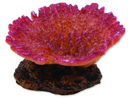 Dekorace AQUA EXCELLENT Mořský korál měkký fialový 9,5 x 8 x 4,5 cm