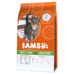 IAMS Cat rich in Lamb - 3kg