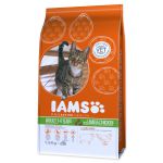 IAMS Cat rich in Lamb - 1,5kg