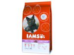 IAMS Cat rich in Salmon - 1,5kg