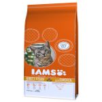 IAMS Cat rich in Chicken - 15kg