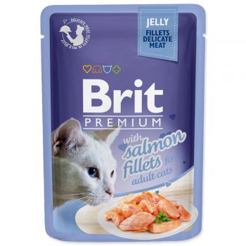 Kapsička BRIT Premium Cat Delicate Fillets in Jelly with Salmon - 85g