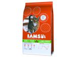 IAMS Cat rich in Lamb - 10kg