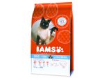 IAMS Cat rich in Ocean Fish - 3kg