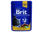 Kapsička BRIT Premium Cat Chicken & Turkey - 100g