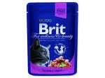 Kapsička BRIT Premium Cat Salmon & Trout - 100g