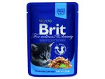 Kapsička BRIT Premium Kitten Chicken Chunks - 100g