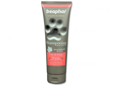 Šampon BEAPHAR Premium pro lesklou srst - 250ml