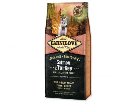CARNILOVE Salmon & Turkey for Large Breed Puppy - 12kg